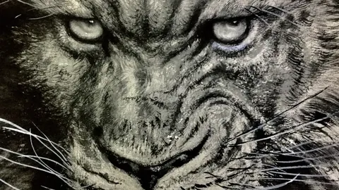 “刀锋飞人”皮斯托瑞斯获假释：前女友枪案判刑入监